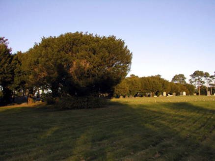 Saint Carthage's Cemetery, Chapel Street,  TOWNPARKS EAST (COS. BY.) LISM. PAR., Lismore,  Co. WATERFORD
