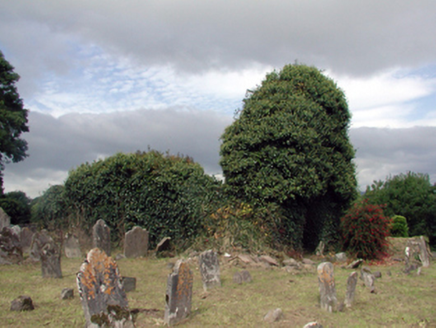 Saint Nicholas's Church (Ringagonagh), SHANACLOON, An Rinn [Ringville],  Co. WATERFORD