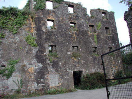 Carrigcastle Mill, CARRIGCASTLE, Ballylaneen,  Co. WATERFORD