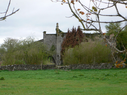 Saint Martin's, Main Street,  TOWNPARKS (LONGFORD BY), Eyrecourt,  Co. GALWAY