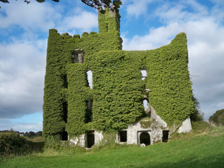 Menlough Castle, MENLOUGH, Mionlach [Menlough],  Co. GALWAY