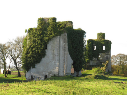 Ballydonnellan Castle, BALLYDONNELLAN EAST,  Co. GALWAY