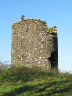 Eyreville, NEWTOWNEYRE, Kiltormer,  Co. GALWAY