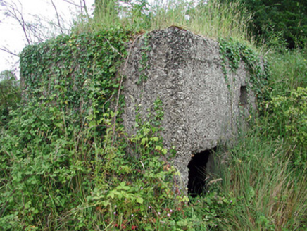 TULLYLANNAN, Leitrim,  Co. LEITRIM