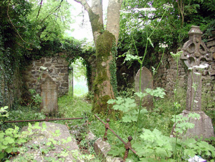 Fair Green,  DRUMSNA, Drumsna,  Co. LEITRIM