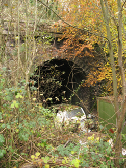 CARROWBAUN [BURR. BY.], Newport,  Co. MAYO