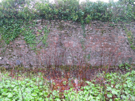Athavallie House, MOAT [CLAN. BY.], Balla,  Co. MAYO