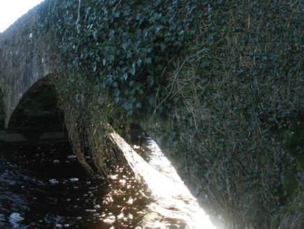 Castlemacgarrett, CASTLEMAGARRETPARK NEW,  Co. MAYO