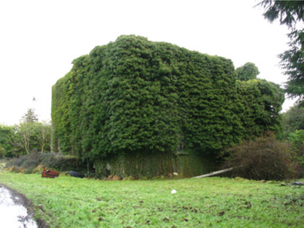 The Heath, HEATH,  Co. MAYO
