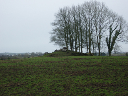 Dalganpark, DALGAN DEMESNE,  Co. MAYO