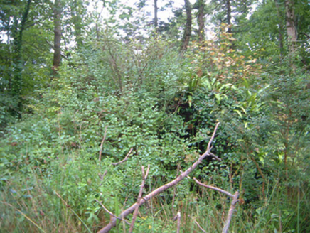 Lissadell House, LISSADILL,  Co. SLIGO
