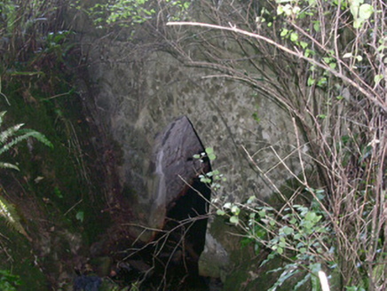 Markree Castle, MARKREE DEMESNE,  Co. SLIGO