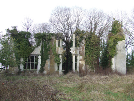 Lanesborough Lodge , QUIVVY (LOWER LOUGHTEE BY.),  Co. CAVAN