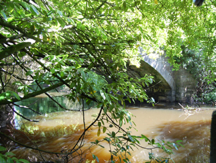 New Bridge, DERRYGID (TULLYHUNCO BY.),  Co. CAVAN
