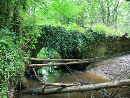 Cabra Castle, CORMEY, Kingscourt,  Co. CAVAN