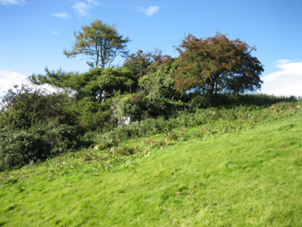 TREANTAGH,  Co. DONEGAL