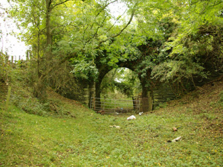 CARRICK (KILLYGORDON),  Co. DONEGAL