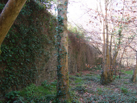Castleshane House, CASTLESHANE DEMESNE, Castleshane,  Co. MONAGHAN