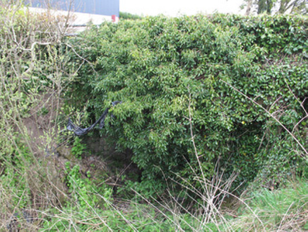 GLEAR,  Co. MONAGHAN