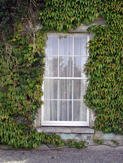 Beechgrove House, Dublin Street, KILDARE, Kildare, KILDARE - Buildings ...