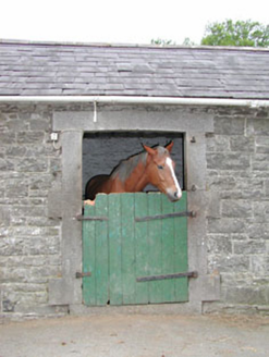Ross House, ROSS, MEATH Buildings of Ireland