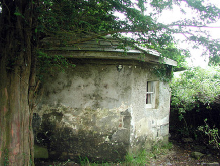 JAMESTOWN, Jamestown, County Leitrim Buildings of Ireland