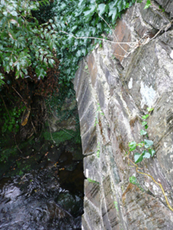 Bridge in Drumcarn