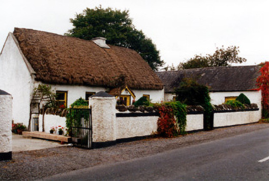 CAPPANCUR,  Co. OFFALY