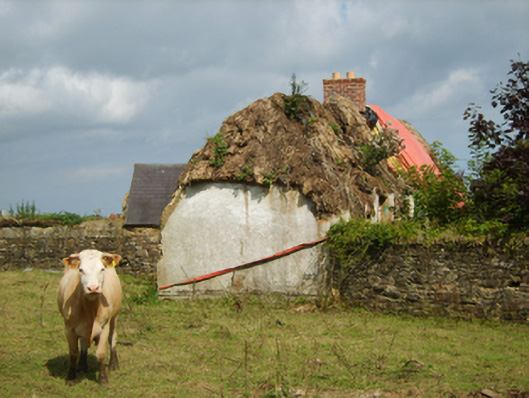 CURCLOGH,  Co. WEXFORD