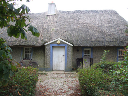 KILCAVAN (TREE),  Co. WEXFORD