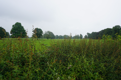 View of farmland from road