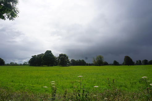 View of farmland from road