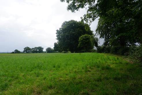 View of farmland from road