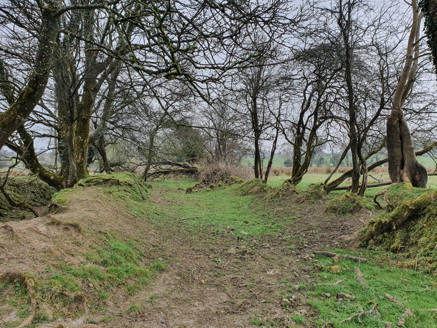 6:Track remains of service access, pre-1840, to east of house, from north