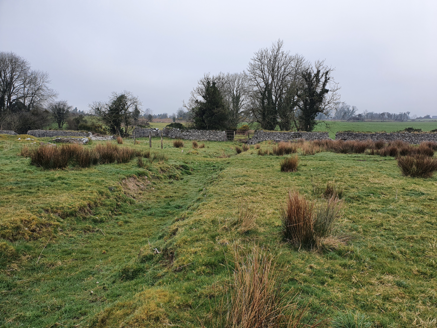 3:Foundations of large outbuilding, pre-1840, to north of former house and dried up watercourse, from west