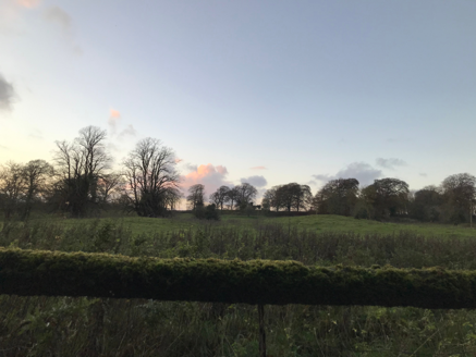 6: View over parkland looking west towards tree covered eskers