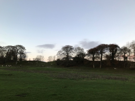 4: View south of house of rear of yard and walls of walled garden