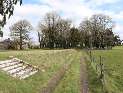 6:Lower end of croquet lawn with steps leading to avenue, raised follies and pleasure grounds to north