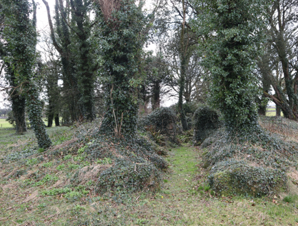 12:Entrance to former pleasure grounds, pre-1894, from north
