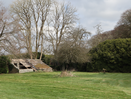 7:Inside of walled garden with derelict greenhouse, old apple trees and box hedge