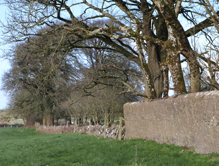 7:West side of walled garden, early concrete wall, c.1920, and typical dry-stone field-boundary wall