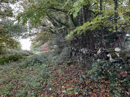 4:View to service access, pre-1895, from south