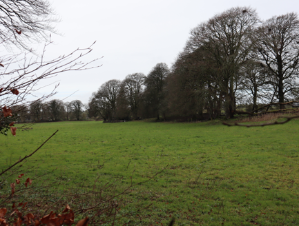 View north across adjacent farmland to woodland