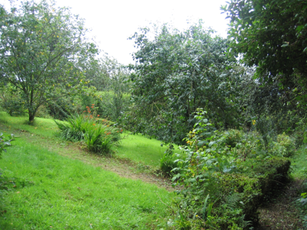 5:Garden, fruit trees and box edging