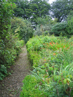 5:Garden