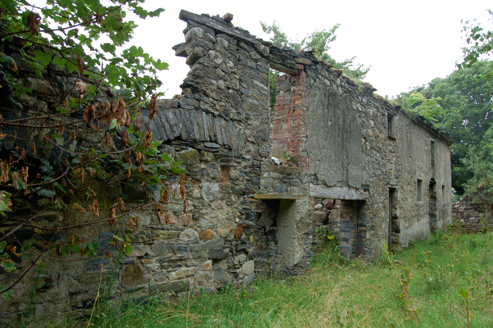 South side of outbuilding
