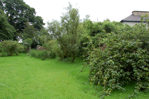 Walled garden looking south