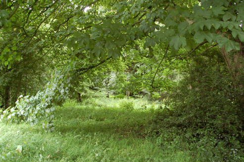 Remains of walled garden, looking northeast from road