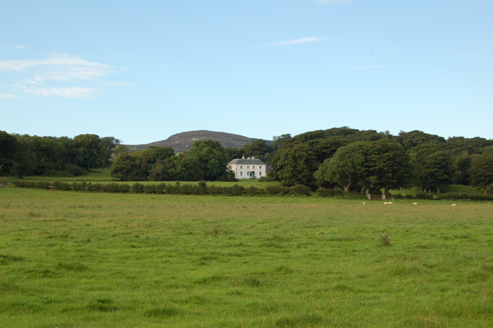 House and setting with views of southern tree-lined avenue