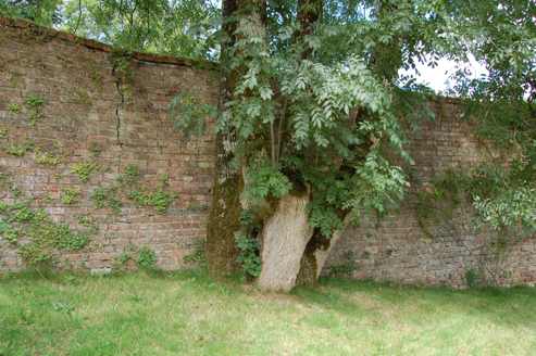Walls of walled garden